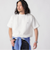 【WEB限定】SHIPS: ワンポイント ロゴ バーズアイ Tシャツ 24SS
