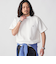 【WEB限定】SHIPS: ワンポイント ロゴ バーズアイ Tシャツ 24SS