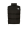 THE NORTH FACE: Nuptse Vest / ヌプシ ダウン ベスト 24FW