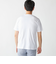 SHIPS: ALBINI クルーネック 無地 Tシャツ