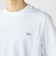 LACOSTE: TH5582-99 アウトラインクロック クルーネック Tシャツ