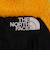 THE NORTH FACE :DENALI ETIP フリース グローブ