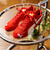 PUMA: SPEEDCAT OG