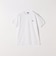 《一部追加予約》【SHIPS any別注】LACOSTE:〈洗濯機可能〉PIQUE クルーネック Tシャツ 26SS