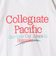 《予約》【SHIPS any別注】Collegiate Pacific:〈洗濯機可能〉V ガゼット プリント & 刺繍 Tシャツ 25SS