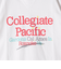 《予約》【SHIPS any別注】Collegiate Pacific:〈洗濯機可能〉V ガゼット プリント & 刺繍 Tシャツ 25SS