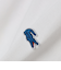 【SHIPS any別注】LACOSTE: ワンポイント ロゴ ピケ クルーネック Tシャツ 25SS◇