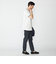 FRED PERRY: M3600 TWIN TIPPED FRED PERRY ポロシャツ