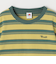 FRUIT OF THE LOOM: 刺繍 ロゴ カラー ボーダー Tシャツ<KIDS>