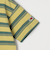 FRUIT OF THE LOOM: 刺繍 ロゴ カラー ボーダー Tシャツ<KIDS>