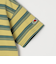 FRUIT OF THE LOOM: 刺繍 ロゴ カラー ボーダー Tシャツ<KIDS>