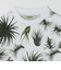 【SHIPS any別注】Phatee: オーガニックコットン パターン プリント スピンドル ポケット Tシャツ◇