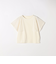 SHIPS any:〈手洗い可能〉メッシュ シアー ハンカチ スリーブ ドッキング TEE