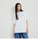 【City Ambient Products別注】Ben Lenovitz: DOG CAT Tシャツ
