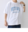 SHIPS any: NATIONAL PARK ヴィンテージライク プリント Tシャツ◇