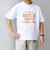 SHIPS any: NATIONAL PARK ヴィンテージライク プリント Tシャツ◇