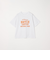 SHIPS any: NATIONAL PARK ヴィンテージライク プリント Tシャツ◇