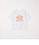 SHIPS any: NATIONAL PARK ヴィンテージライク プリント Tシャツ◇