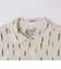 【SHIPS別注】THE ALASKAN: OPEN IKAT S/S