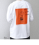 SHIPS any: SNOOPY コラボ 75th グラフィック プリント Tシャツ(ロンT)◇