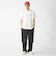 【WEB限定】SHIPS: SHIPS Co. デザイン プリント Tシャツ