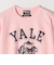 The BOOK STORE:〈洗濯機可能〉YALE ブルドッグ プリント クルーネック スウェット