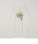 【SHIPS any別注】NYBG: ボタニカル プリント リラックス Tシャツ (ロンT)◆