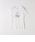 《予約》【SHIPS any別注】PETIT BATEAU: ロゴ プリント コンパクト TEE 26SS