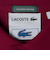【SHIPS別注】LACOSTE: ドロップテイル ポロシャツ