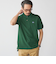 【SHIPS別注】LACOSTE: ドロップテイル ポロシャツ