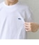 【SHIPS any別注】LACOSTE: ワンポイント ロゴ ピケ クルーネック Tシャツ 26SS◆