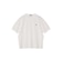【SHIPS any別注】LACOSTE: ワンポイント ロゴ ピケ クルーネック Tシャツ 26SS◇