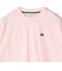 【SHIPS別注】LACOSTE:〈手洗い可能〉五分袖 TEE