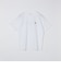 【City Ambient Products別注】Ben Lenovitz: DOG CAT PERSON Tシャツ