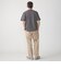 【SHIPS別注】LACOSTE: マイクロ ボーダー Tシャツ