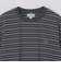 【SHIPS別注】LACOSTE: マイクロ ボーダー Tシャツ