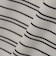 【SHIPS別注】LACOSTE: マイクロ ボーダー Tシャツ