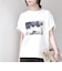 《予約》SHIPS Colors:〈接触冷感・UVカット・洗濯機可能〉PALM フォト TEE◆