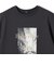SHIPS Colors:〈接触冷感・UVカット・洗濯機可能〉PARIS フォト TEE◇