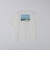 SHIPS: AUTHENTIC コットン プリント Tシャツ