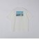 SHIPS: AUTHENTIC コットン プリント Tシャツ