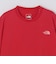 THE NORTH FACE: GAR TYPOGRAPHIC COLORED SHORT SLEEVE