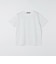 SHIPS Colors:キシリトール プリント Tシャツ
