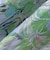SHIPS Colors:〈手洗い可能〉フラワープリント ゴム スカート