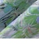 SHIPS Colors:〈手洗い可能〉フラワープリント ゴム スカート