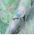 SHIPS Colors:〈手洗い可能〉フラワープリント バンドカラー シャツ