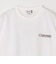 【SHIPS any別注】Coleman: ランタン プリント ロゴ 刺繍 Tシャツ◆