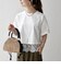 《予約》SHIPS any:〈洗濯機可能〉ジップ レース ヘム ハーフスリーブ TEE