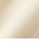 〈手洗い可能〉プリシュランク ツイル ショート シャツ 羽織