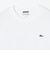 【SHIPS any別注】LACOSTE: ワンポイント ピケ クルーネック Tシャツ 26AW (ロンT)◆